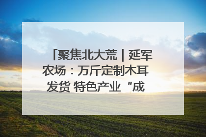 聚焦北大荒｜延军农场：万斤定制木耳发货 特色产业“成绩单”亮眼