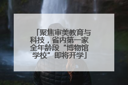聚焦审美教育与科技，省内第一家全年龄段“博物馆学校”即将开学