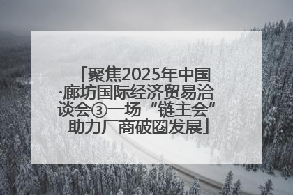 聚焦2025年中国·廊坊国际经济贸易洽谈会③一场“链主会” 助力厂商破圈发展