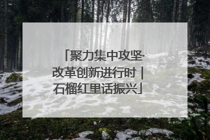 聚力集中攻坚·改革创新进行时｜石榴红里话振兴