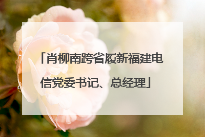 肖柳南跨省履新福建电信党委书记、总经理