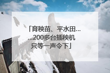 育秧苗、平水田……200多台插秧机只等一声令下