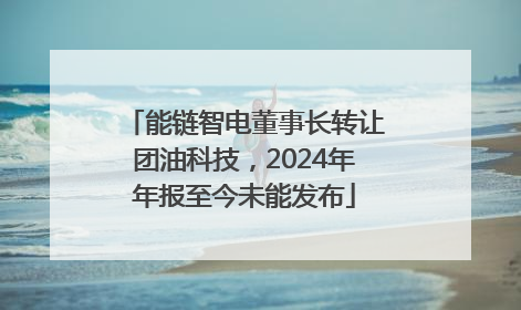 能链智电董事长转让团油科技，2024年年报至今未能发布