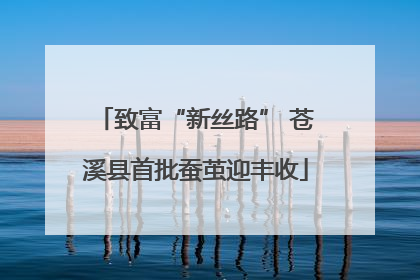 致富“新丝路” 苍溪县首批蚕茧迎丰收