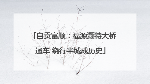 自贡富顺：福源灏特大桥通车 绕行半城成历史