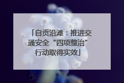 自贡沿滩：推进交通安全“四项整治”行动取得实效