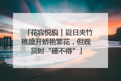 花容悦貌｜夏日夹竹桃盛开娇艳繁花，但观赏时“碰不得”