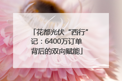 花都光伏“西行”记：6400万订单背后的双向赋能