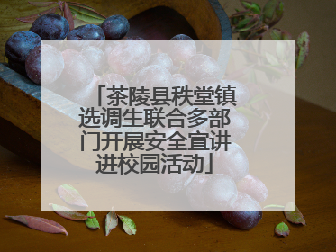 茶陵县秩堂镇选调生联合多部门开展安全宣讲进校园活动