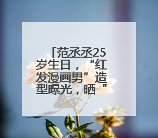 范丞丞25岁生日，“红发漫画男”造型曝光，晒“鹅十五”蛋糕庆祝