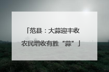 范县：大蒜迎丰收 农民增收有胜“蒜”