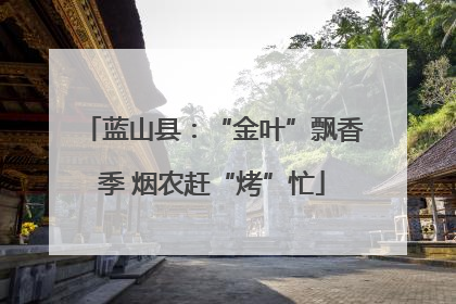 蓝山县：“金叶”飘香季 烟农赶“烤”忙