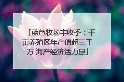 蓝色牧场丰收季：千亩养殖区年产值超三千万 海产经济活力足