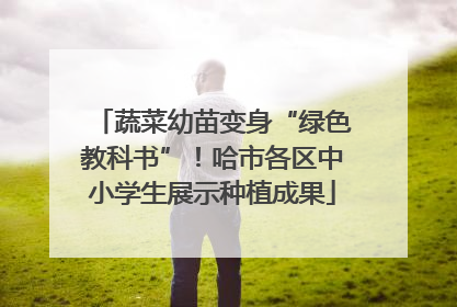 蔬菜幼苗变身“绿色教科书”！哈市各区中小学生展示种植成果