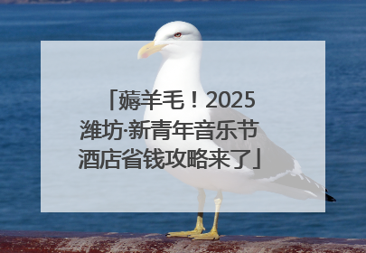 薅羊毛！2025潍坊·新青年音乐节酒店省钱攻略来了