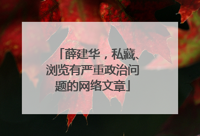 薛建华，私藏、浏览有严重政治问题的网络文章