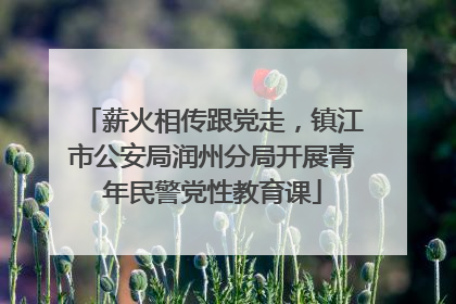 薪火相传跟党走，镇江市公安局润州分局开展青年民警党性教育课