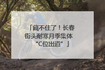 藏不住了！长春街头耐寒月季集体“C位出道”