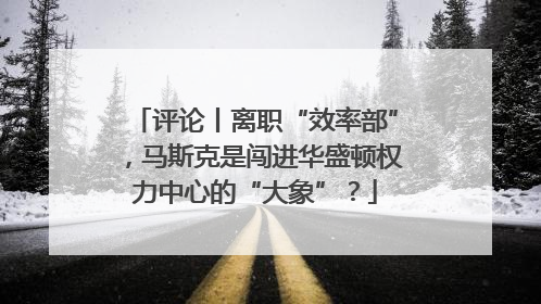 评论丨离职“效率部”，马斯克是闯进华盛顿权力中心的“大象”？