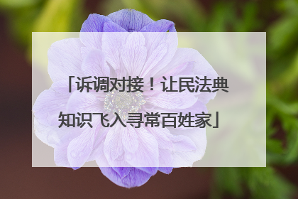 诉调对接！让民法典知识飞入寻常百姓家