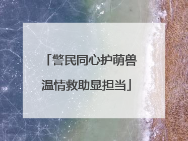警民同心护萌兽 温情救助显担当