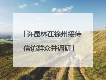 许昆林在徐州接待信访群众并调研