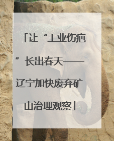 让“工业伤疤”长出春天——辽宁加快废弃矿山治理观察