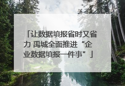 让数据填报省时又省力 禹城全面推进“企业数据填报一件事”