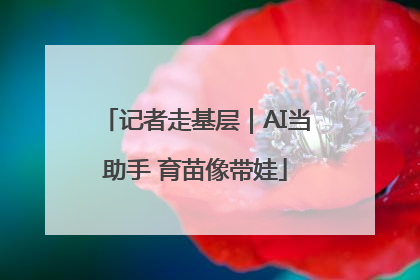 记者走基层｜AI当助手 育苗像带娃