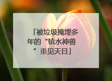 被垃圾掩埋多年的“镇水神兽”重见天日