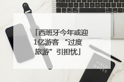西班牙今年或迎1亿游客 “过度旅游”引担忧