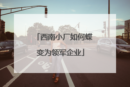 西南小厂如何蝶变为领军企业