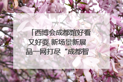 西博会成都馆好看又好耍 新场景新展品一网打尽“成都智造”｜西博视界