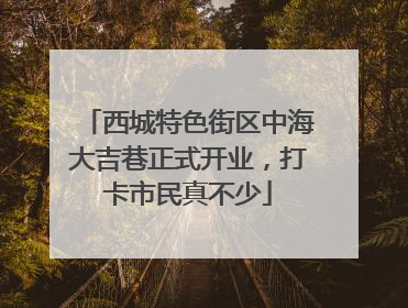 西城特色街区中海大吉巷正式开业，打卡市民真不少