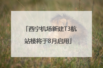 西宁机场新建T3航站楼将于8月启用