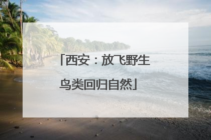 西安：放飞野生鸟类回归自然