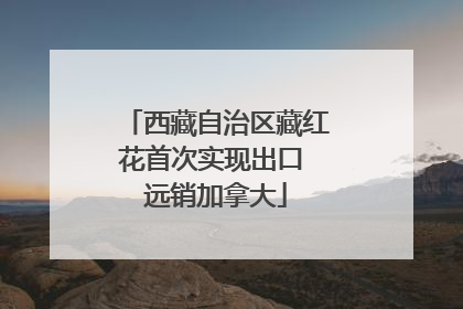 西藏自治区藏红花首次实现出口 远销加拿大