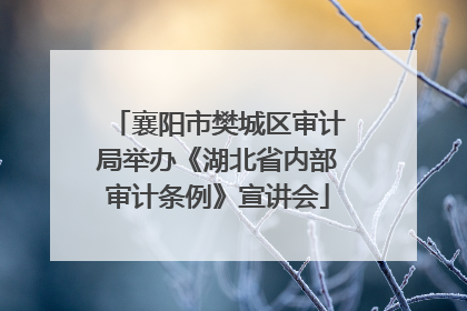 襄阳市樊城区审计局举办《湖北省内部审计条例》宣讲会