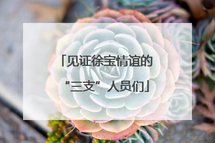 见证徐宝情谊的“三支”人员们