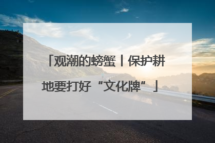 观潮的螃蟹丨保护耕地要打好“文化牌”
