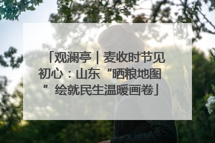 观澜亭｜麦收时节见初心：山东“晒粮地图”绘就民生温暖画卷