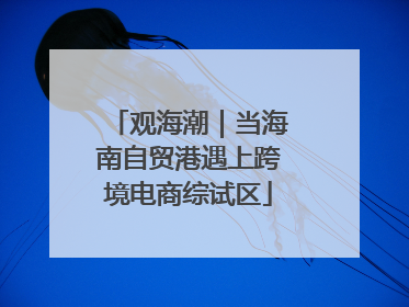 观海潮｜当海南自贸港遇上跨境电商综试区