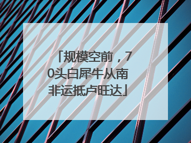 规模空前，70头白犀牛从南非运抵卢旺达