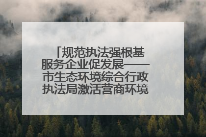规范执法强根基 服务企业促发展——市生态环境综合行政执法局激活营商环境“绿色动能”