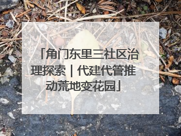 角门东里三社区治理探索｜代建代管推动荒地变花园