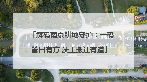 解码南京耕地守护：一码管田有方 沃土搬迁有道