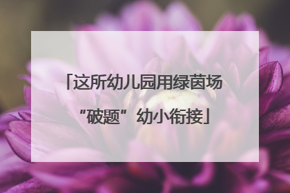 这所幼儿园用绿茵场“破题”幼小衔接