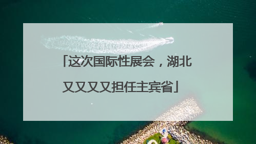 这次国际性展会，湖北又又又又担任主宾省
