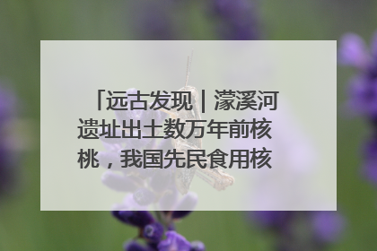 远古发现｜濛溪河遗址出土数万年前核桃，我国先民食用核桃历史大幅提前