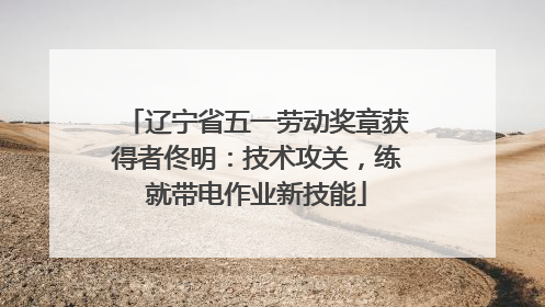 辽宁省五一劳动奖章获得者佟明：技术攻关，练就带电作业新技能